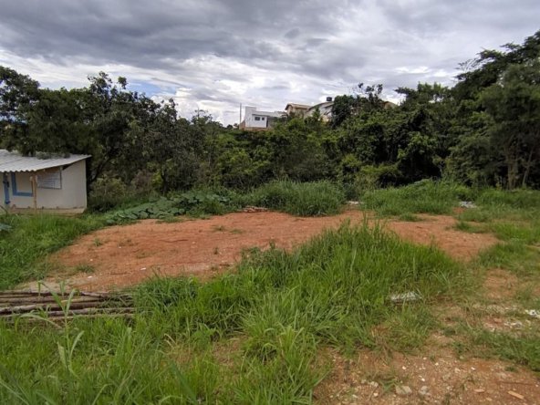 terreno 1