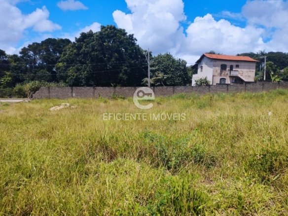 WhatsApp Image 2025 04 01 at 16.14.53