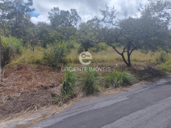 WhatsApp Image 2025 04 03 at 11.12.53 1