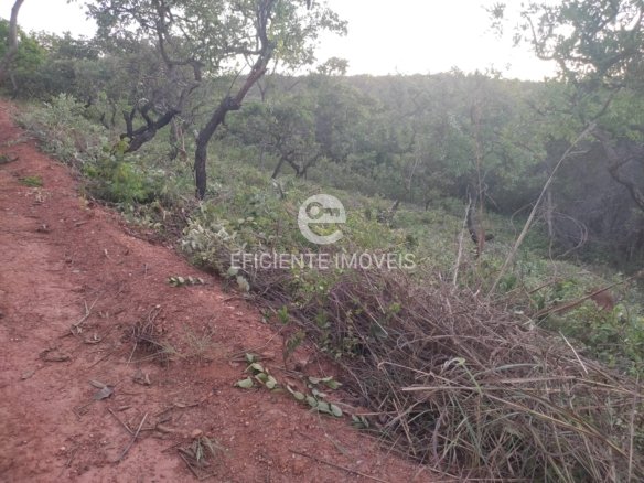 WhatsApp Image 2025 04 05 at 08.58.47 1 1