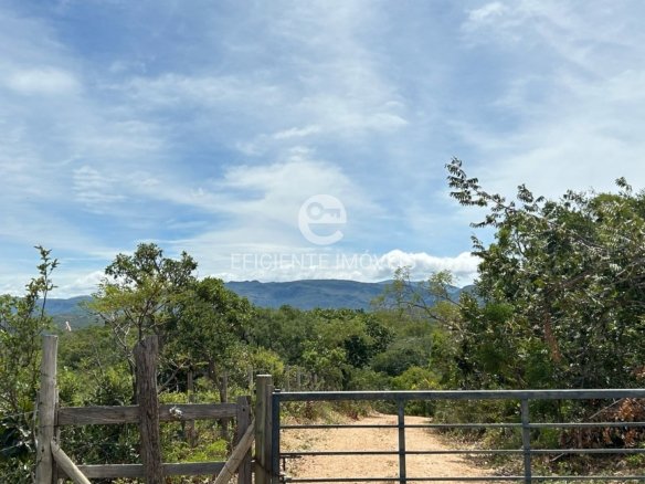 WhatsApp Image 2025 04 05 at 10.00.13