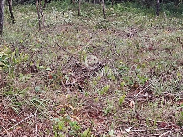 WhatsApp Image 2025 04 07 at 08.54.40 2