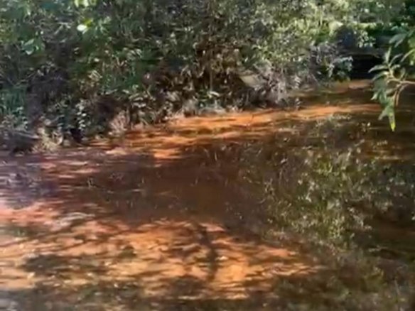 WhatsApp Image 2025 05 13 at 12.00.07 2