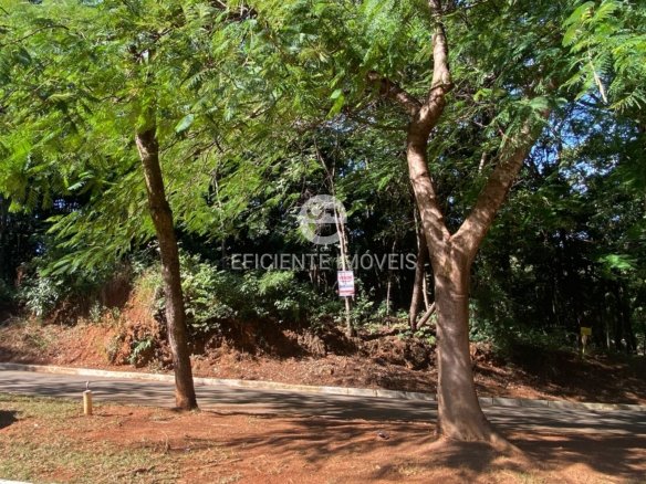 WhatsApp Image 2025 06 04 at 10.59.55 2