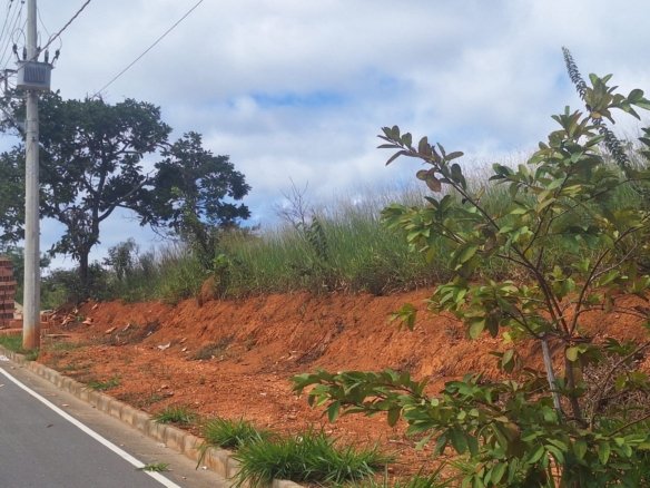 WhatsApp Image 2025 06 24 at 11.51.53