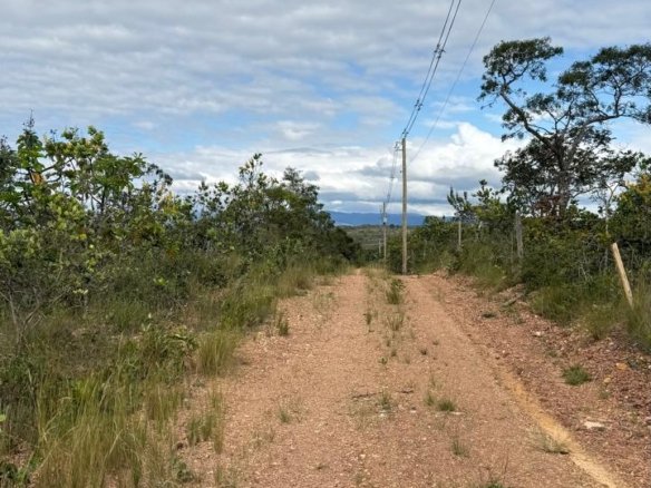 WhatsApp Image 2025 06 27 at 12.56.03