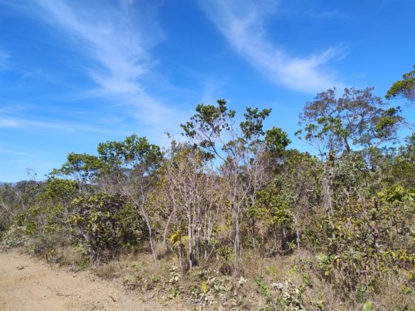 WhatsApp Image 2025 07 07 at 11.51.29 1