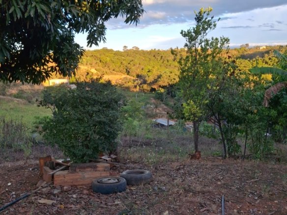 WhatsApp Image 2025 07 09 at 14.37.23 1