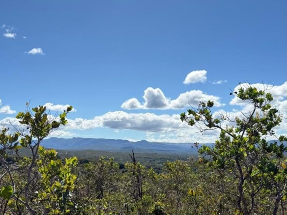 WhatsApp Image 2025 07 16 at 11.50.02 1