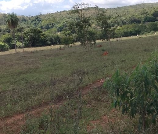 WhatsApp Image 2025 07 26 at 10.33.00