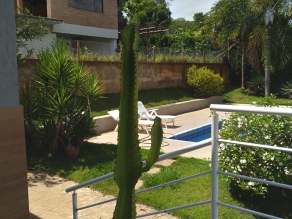 WhatsApp Image 2025 08 08 at 10.10.57