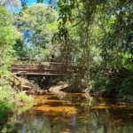 WhatsApp Image 2025 08 08 at 11.45.48 1