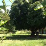 WhatsApp Image 2025 09 02 at 12.27.40