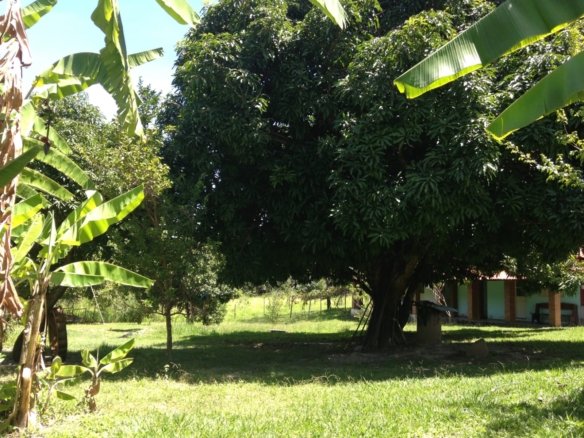 WhatsApp Image 2025 09 02 at 12.27.40