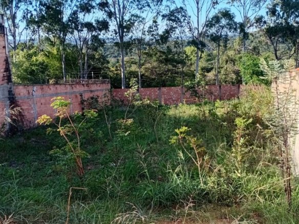 WhatsApp Image 2025 09 26 at 10.48.37 1