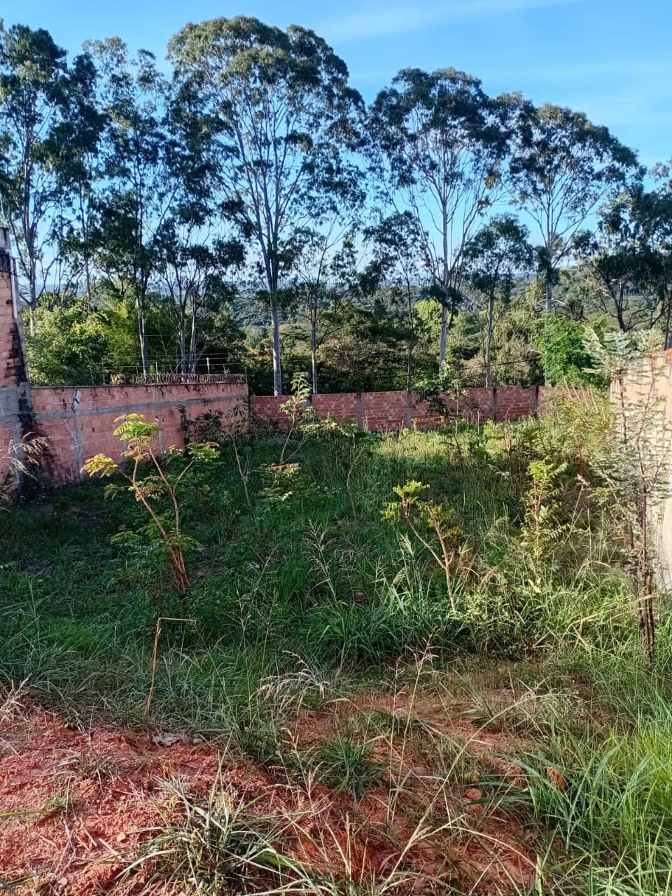 WhatsApp Image 2025-09-26 at 10.48.37